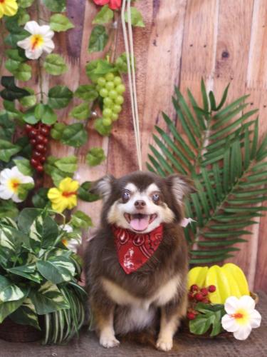 20230823ちゃこちゃん